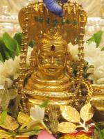 Shiva Pujana by HH Swamiji (Pictures Courtesy of Shri Ganesh Rao)